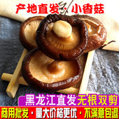 新货优质小香菇干货500g农家蘑菇珍珠菇金钱菇冬木耳菇类干货散装