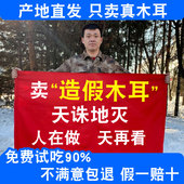 东北黑木耳干货500g长白山散装 商用生非小碗耳特东宁秋木耳级批发