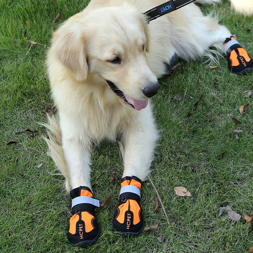 狗鞋HCPET宠物鞋工厂厂家防水防
