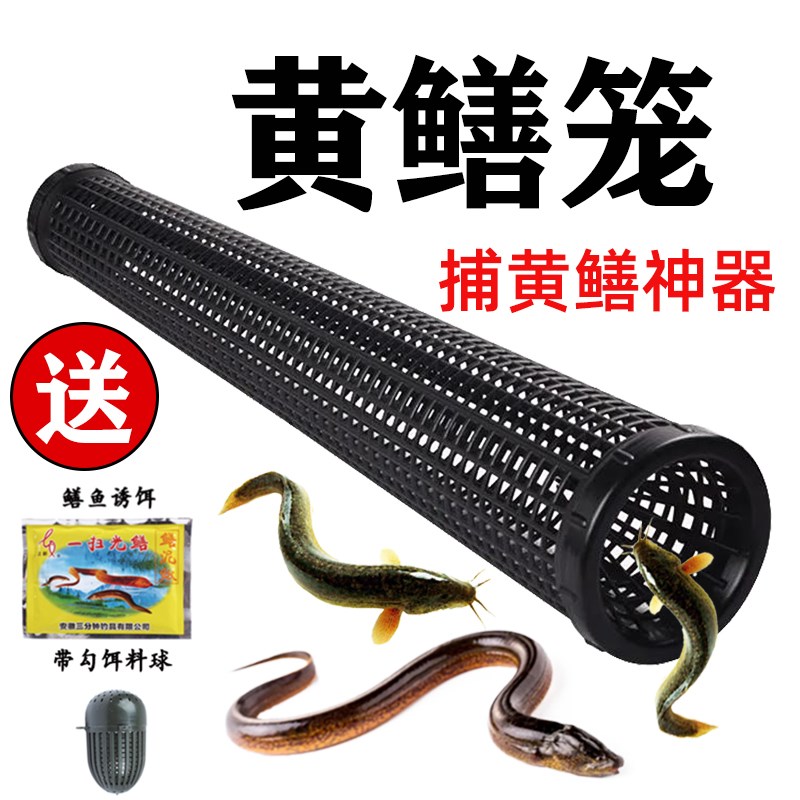 速发鳝鱼笼黄鳝笼塑料自笼鱼动捕鳝笼子倒制捕鱼虾笼自须自动捕鳝