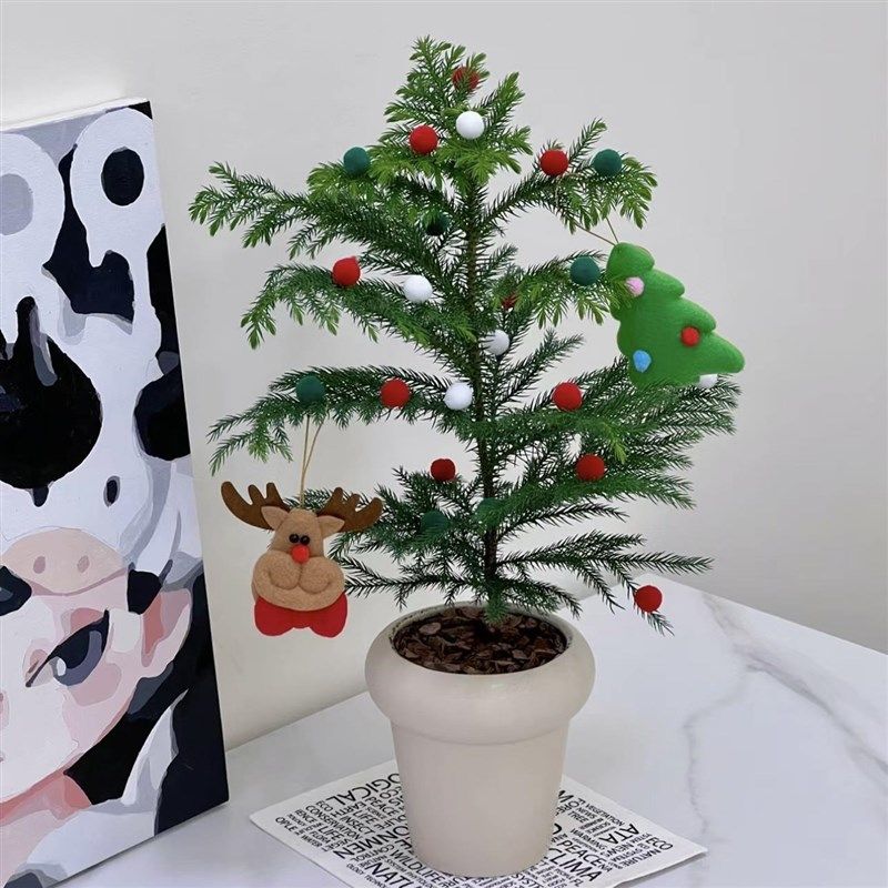 速发南年杉圣诞树风小盆栽家饰新洋装居净化空气耐寒绿植
