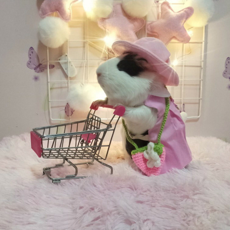 速发猪小型兔兔兔子小链子的衣服带溜兔绳子防挣脱防咬