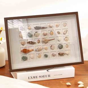 贝壳收藏立体中空标本框diy手工相框摆台植物贝壳粘土干花展示框