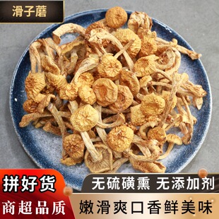 吉林滑子蘑蘑菇滑子菇煲汤材料香菇菌菇干货食材优质菌类嫩滑爽口