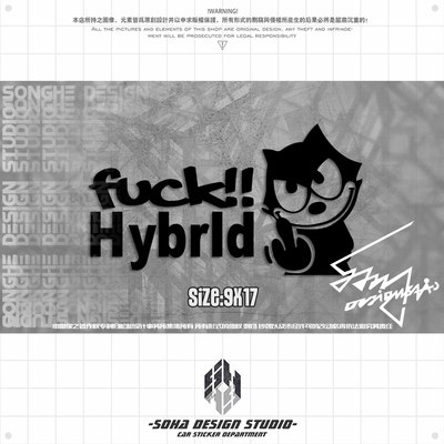 FELIX菲利克斯猫车贴拉花