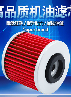 适配雅马哈YD250 FZR250 BW350 XZ550 XC180 XC200 XC250机油滤芯