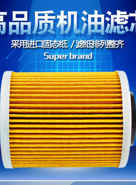 Cyleto适配庞巴迪Traxter 425 800 975 Ski Doo 800机油滤芯机滤
