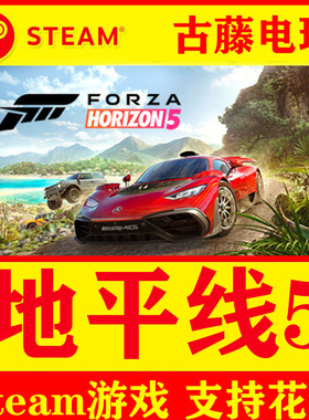 STEAM PC 正版 极限竞速:地平线 5 开放世界Forza Horizon 5