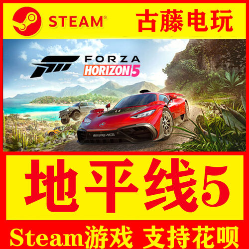 STEAM极限竞速ForzaHorizon5