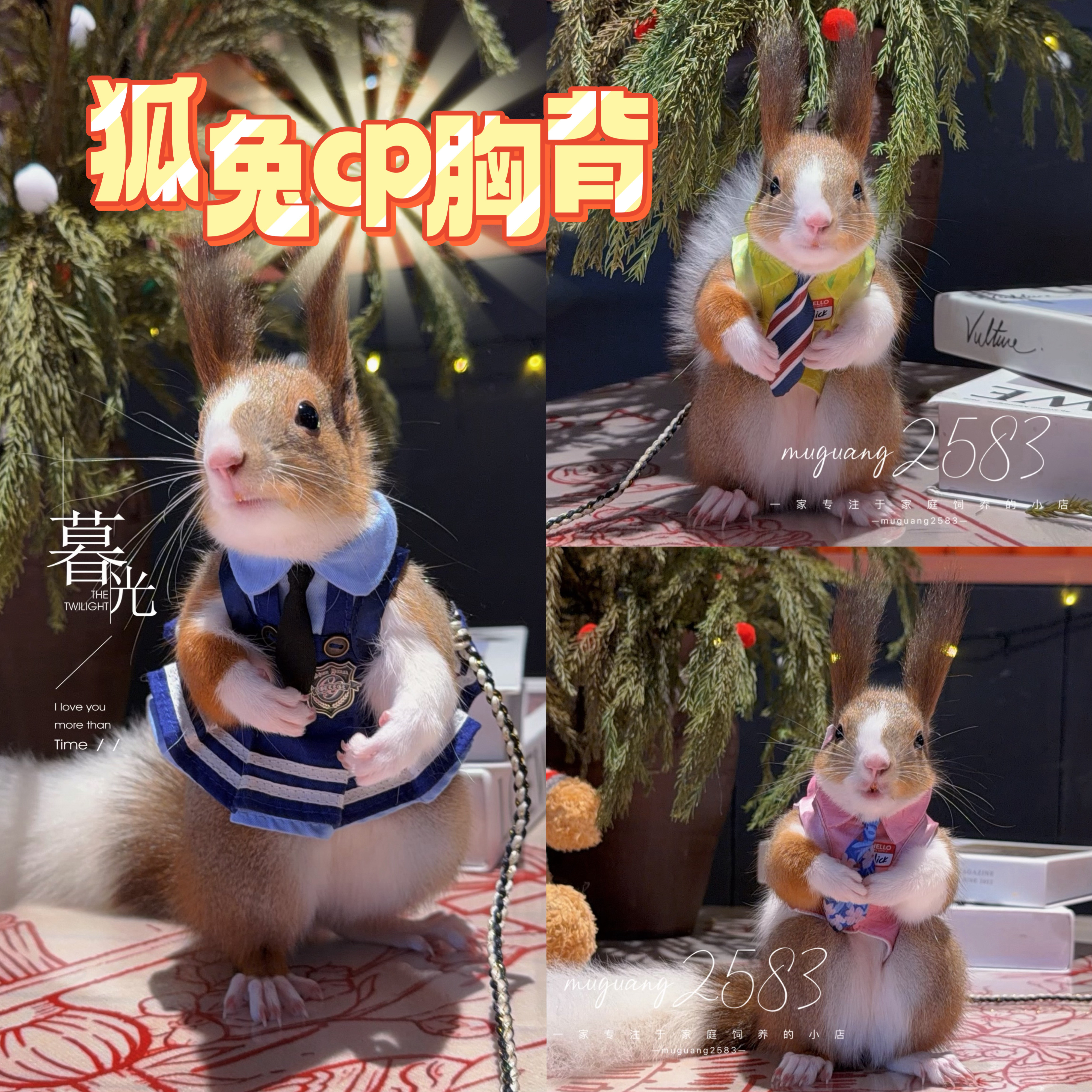纯手工尼克狐兔cp定制款松鼠宠物貂狐獴丁满牵引胸背衣服牵引绳图片