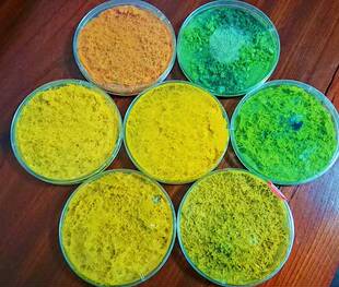 黏菌宠物菌种菌核史莱姆小之微多头绒泡菌粘菌实验小型好养曳尾菌