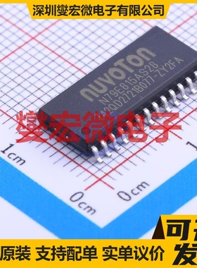 N79E815AS28 SOIC-28-300mil MCU/MPU/SOC微处理器控制器