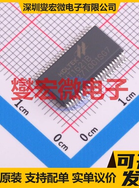 HT1621BTR SSOP-48 MCU/MPU/SOC微处理器控制器