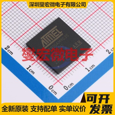 AT91SAM9G35-CU-999 BGA-217 MCU/MPU/SOC微处理器控制器