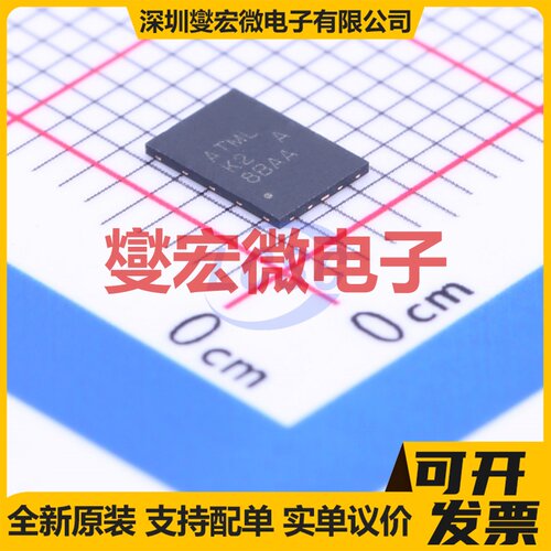 AT21CS11-MSH10-T XSFN-2(3.5x5) EEPROM带电可擦写存储器芯片IC