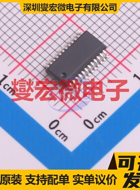 PMS134-Y24 SSOP-24 MCU/MPU/SOC微处理器控制器