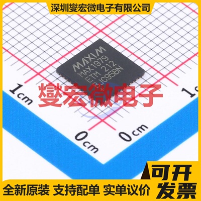 MAX1979ETM+ TQFN-48(7x7) 专业电源管理芯片IC