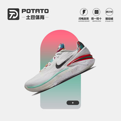 Nike男女限定实战篮球鞋
