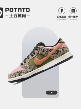 NIKE DUNK SB LOW x ARTS REC 石斑 拼色复古休闲板鞋 IH3211-200