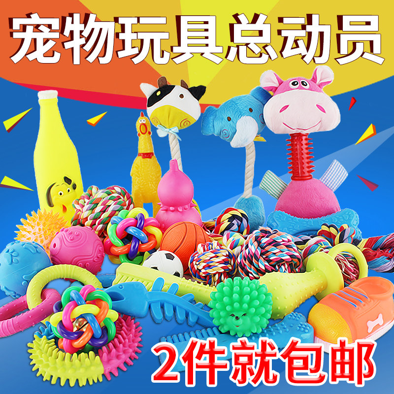 狗狗玩具泰迪金毛玩具发声七彩铃铛球磨牙洁齿训练球猫玩具弹力球在类目 宠物/宠物食品及用品, 猫/狗玩具, 橡胶球/球形玩具中 - 来自Buy2taobao.com提供专业的淘宝代购服务