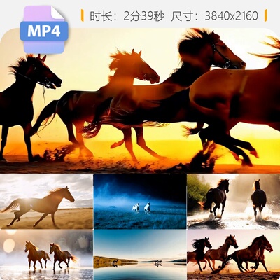 高清万马奔腾草原骏马策马踏水花团队拼搏励志宣传片头视频素材