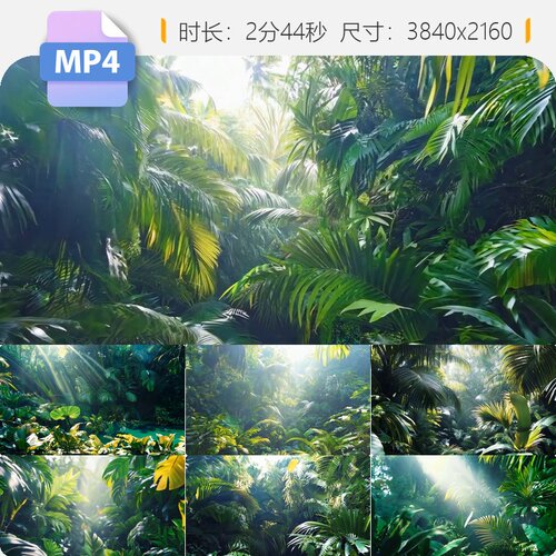 高清热带雨林自然森林绿植龟背竹棕榈丛景LED大屏背景视频素材