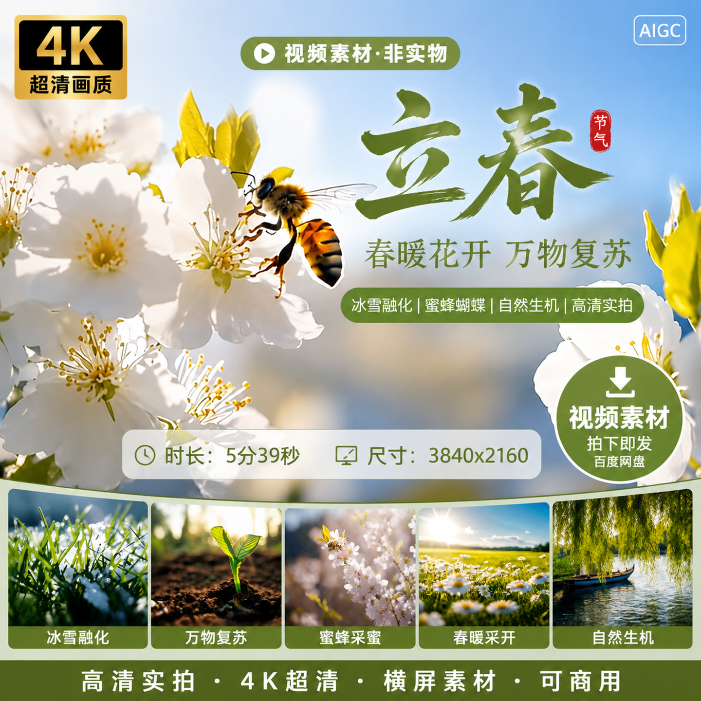 高清立春节气春天春暖花开万物复苏冰雪融化蜜蜂蝴蝶视频素材