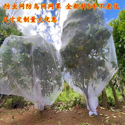 防虫网罩纱网樱桃杨梅蓝莓莲雾果树防鸟防蚊蝇防污染网套透气透光