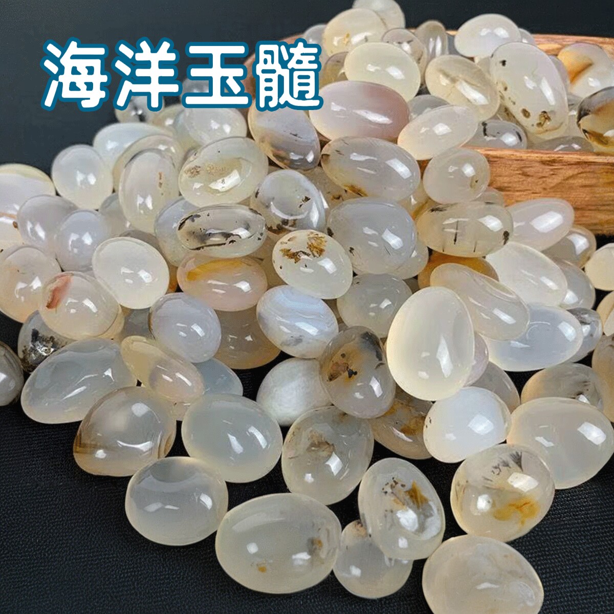 天然海洋玉髓石多肉铺面石鱼缸造景高档观赏石大份量实惠装