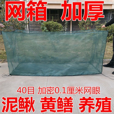 加粗带盖养鱼存鱼养殖网箱