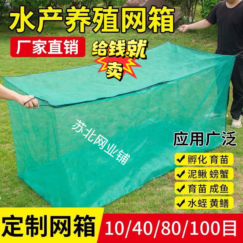 养殖10目育苗中国加盖泥鳅