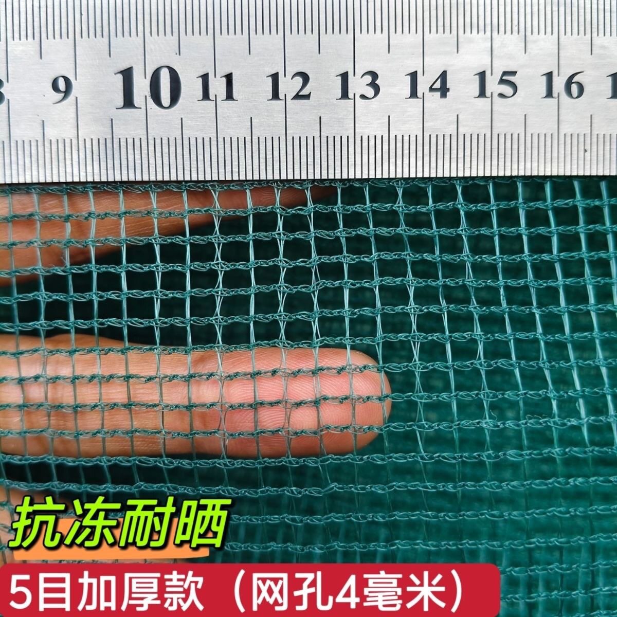 5目加厚鱼苗网箱养鱼网箱存鱼育苗水产养殖专用防逃网养殖网箱