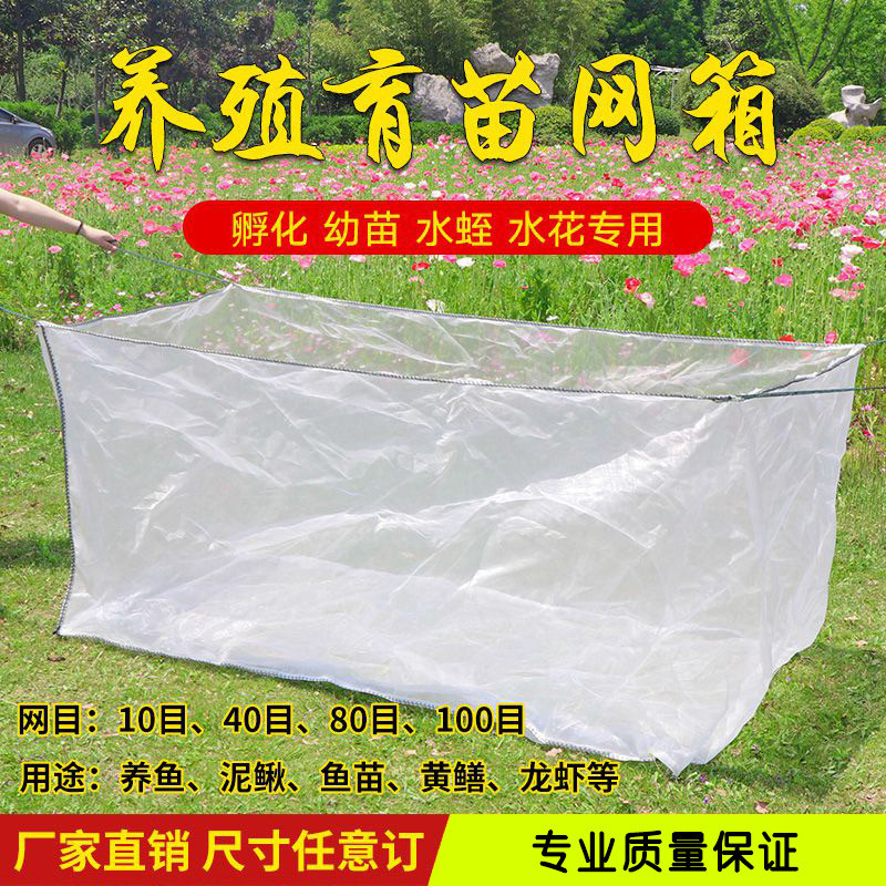 80目养殖网箱黄鳝泥鳅水蛭催产孵卵用专用网箱育苗用网箱
