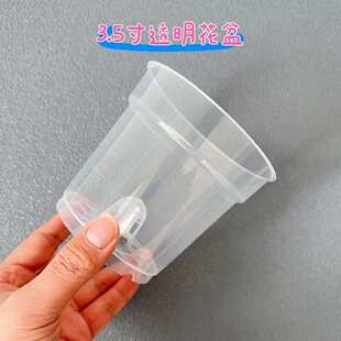 透明花盆育苗杯观根盆塑料蝴蝶兰花盆透气多肉小花盆兰花铁皮石斛