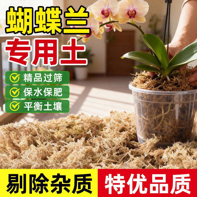 优质干水苔蝴蝶兰专用种植土