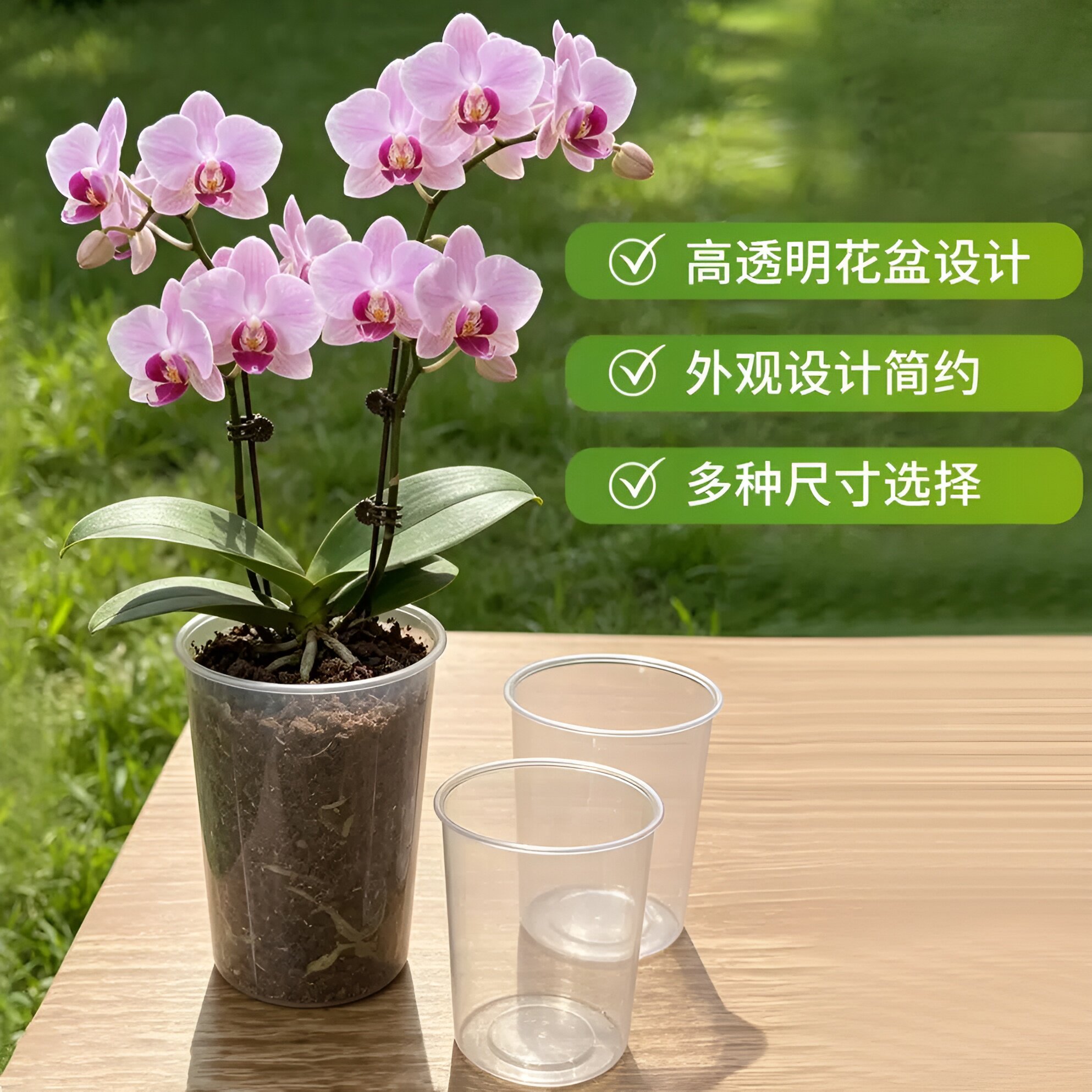 透明无孔蝴蝶兰专用储水花盆