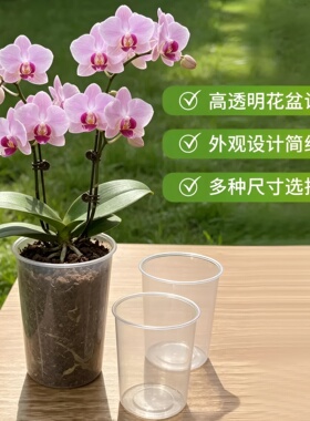 透明无孔蝴蝶兰专用储水花盆