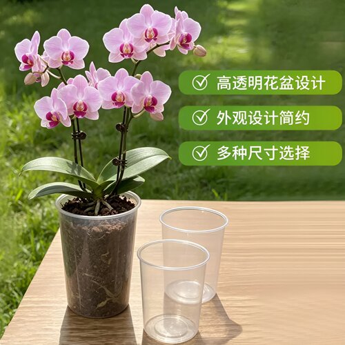 透明无孔蝴蝶兰专用储水花盆