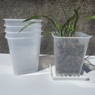 加厚透明花盆蝴蝶兰花专用石斛透气营养杯盆栽多肉控根盆万象花盆