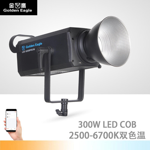Goideneagie色温可调直播补光灯