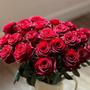 【红玫瑰福利】高原红玫瑰云南昆明基地鲜花鲜花直播间现场直播