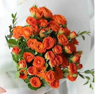 多头泡泡玫瑰橙芭比30/20/10枝鲜切花云南鲜花直播间现场直播卖花