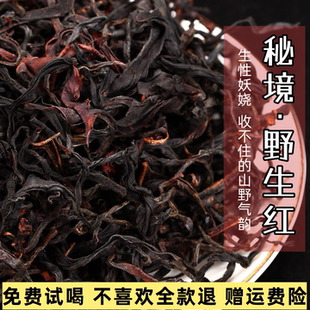 云南古树红茶普洱秘境野生红老树花香蜜香浓香型红茶自己喝口粮茶