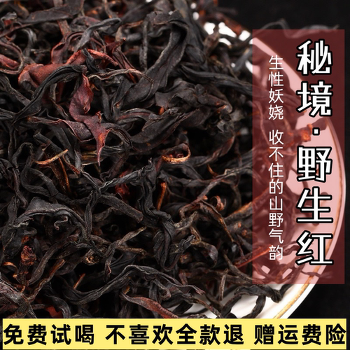 云南古树红茶普洱秘境野生红老树花香蜜香浓香型红茶冷泡茶口粮茶
