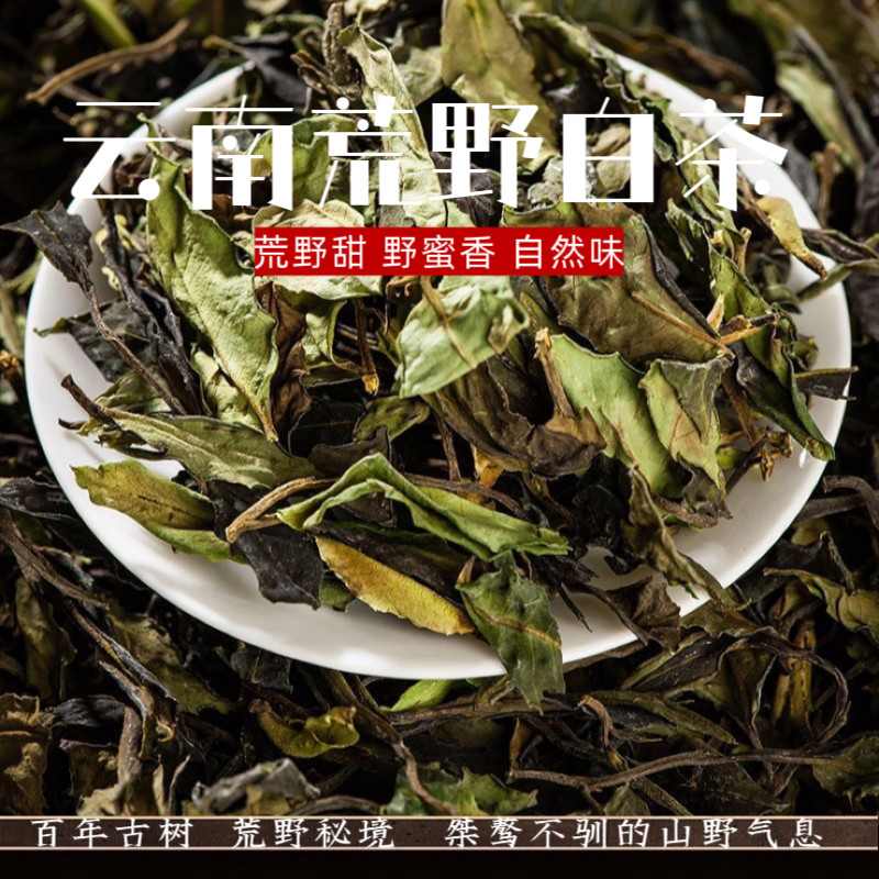 白茶 云南荒野白茶2025年春茶古树老树白茶 野韵清香型散茶茶叶