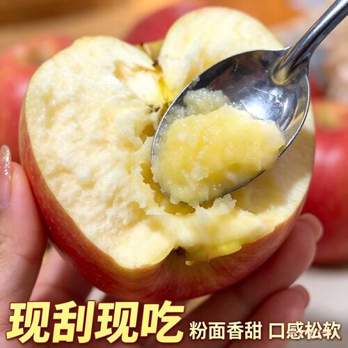 陕西秦阳嘎啦粉面沙苹果现摘