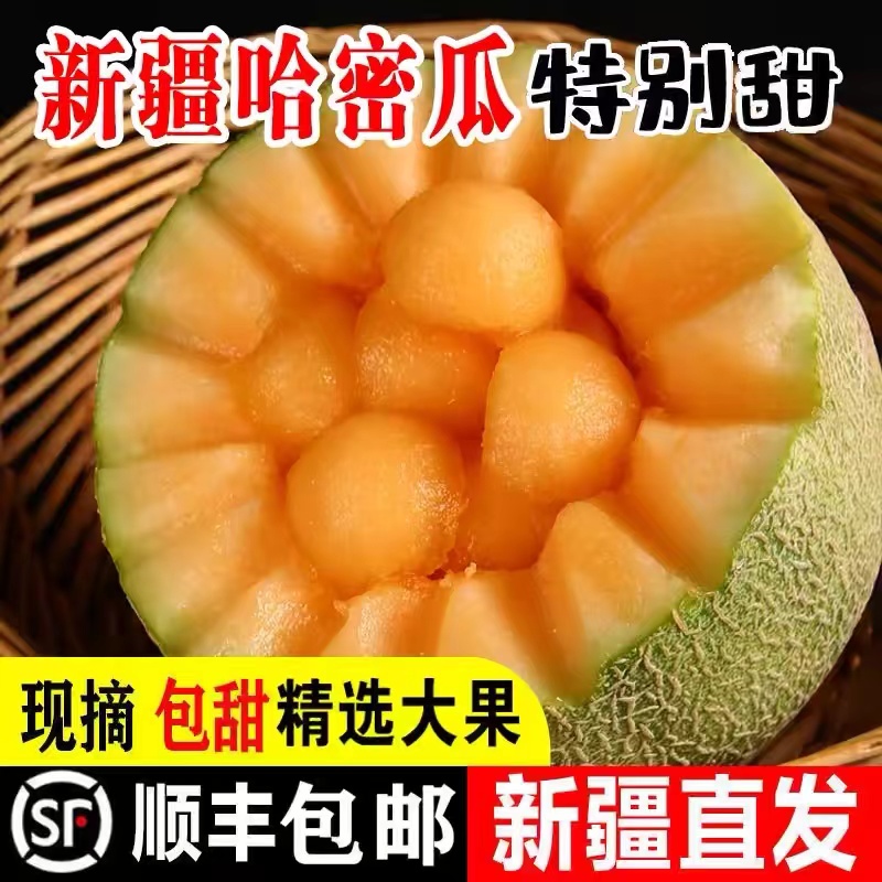 正宗新疆吐鲁番现摘发当季孕妇水果爆甜薄皮网文西州蜜哈密瓜蜜瓜