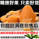 纯甜半野生 正宗云南蒙自甜枇杷果长虹枇杷孕妇新鲜时令水果