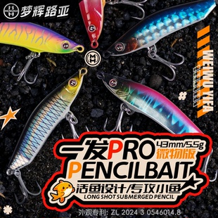 梦辉微物一发PRO专攻小翘嘴青稍海鲈