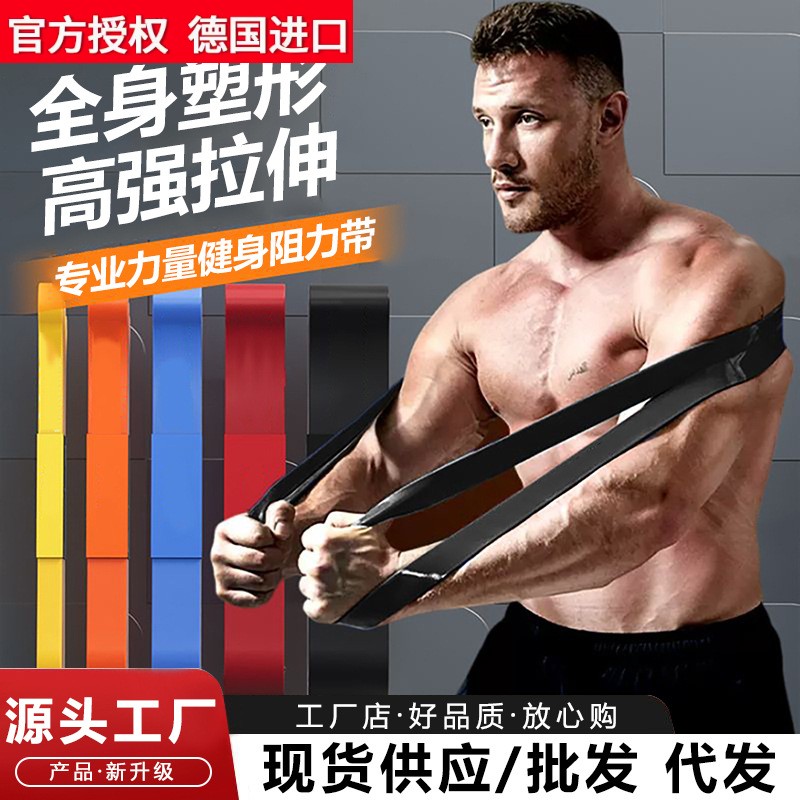 德国进口阻力带弹力带拉力绳健身男力量训练皮筋练胸肌引体向上辅